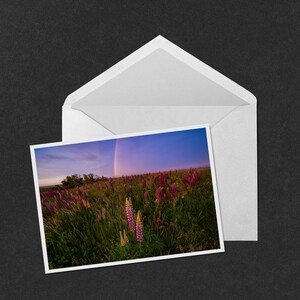Rainbow Sunset Lupines Note Card - Photo 5x7 d’un arc-en-ciel dans le ciel du coucher du soleil sur un champ de lupins dans le Cape Cod National Seashore