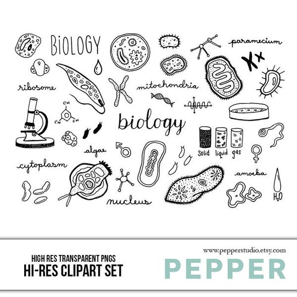 Biology Doodle Clipart Set - Hi Res Printable Science School Icons, Cell, Chromosome, Vector Art, Hand Drawn Illustrations, Transparent PNG