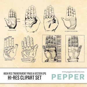 Palm Reading - Retro Clipart - 8 Vintage Illustrations, Hamsa, Hands, Fortune Telling, Psychic, High Resolution PNGs and EPS