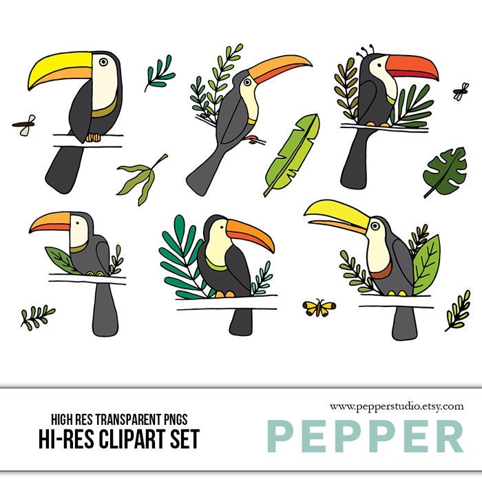 Toucan Doodle Clipart Set - Jungle Art, Travel Scrapbook, Travel Journal, Printable Jungle Icons, Hand Drawn Illustrations, Transparent PNGs