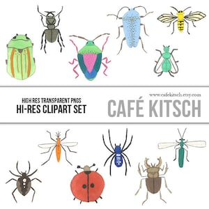 Insect Clip Art - Hi Res Transparent PNG files - Insects, Spiders, Beetles, Bees and Bugs Clip Art Illustrations