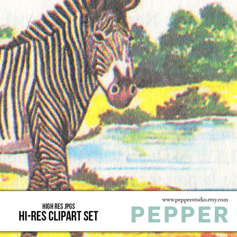 Herbivores Retro Clipart Vintage Illustrations, Spanish Vocabulary, School, Kids, Nursery