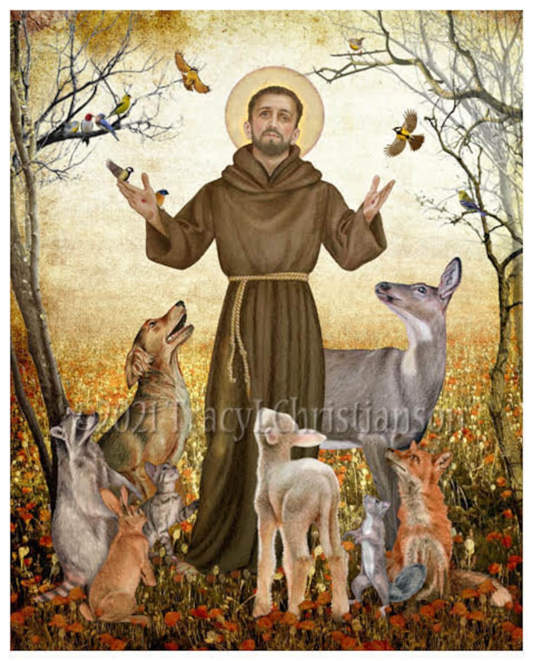 St. Francis of Assisi and Animals Picture, Catholic Patron Saint of Animals  - Etsy