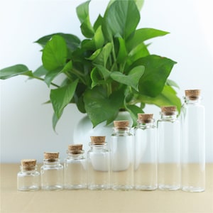 Mini Glass Bottles 10-60ml 30mm Diameter 5Pcs Storage Glass Bottles With Cork Stopper Crafts Jars Mini Transparent Empty Glass Bottles Gift