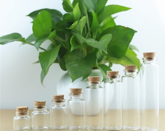 Mini botellas de vidrio 10-60ml 30mm diámetro 5pcs botellas de vidrio de almacenamiento con tapón de corcho artesanía jars mini transparentes botellas de vidrio vacío regalo