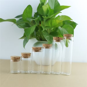 Mini Glass Bottles 10-110ml 30mm Diameter 5Pcs Storage Glass Bottles With Cork Stopper Crafts Jars Mini Transparent Empty Glass Bottles Gift