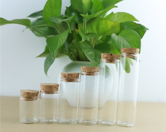 Mini botellas de vidrio 10-110ml 30mm diámetro 5pcs botellas de vidrio de almacenamiento con tapón de corcho artesanía jars mini transparentes botellas de vidrio vacío regalo