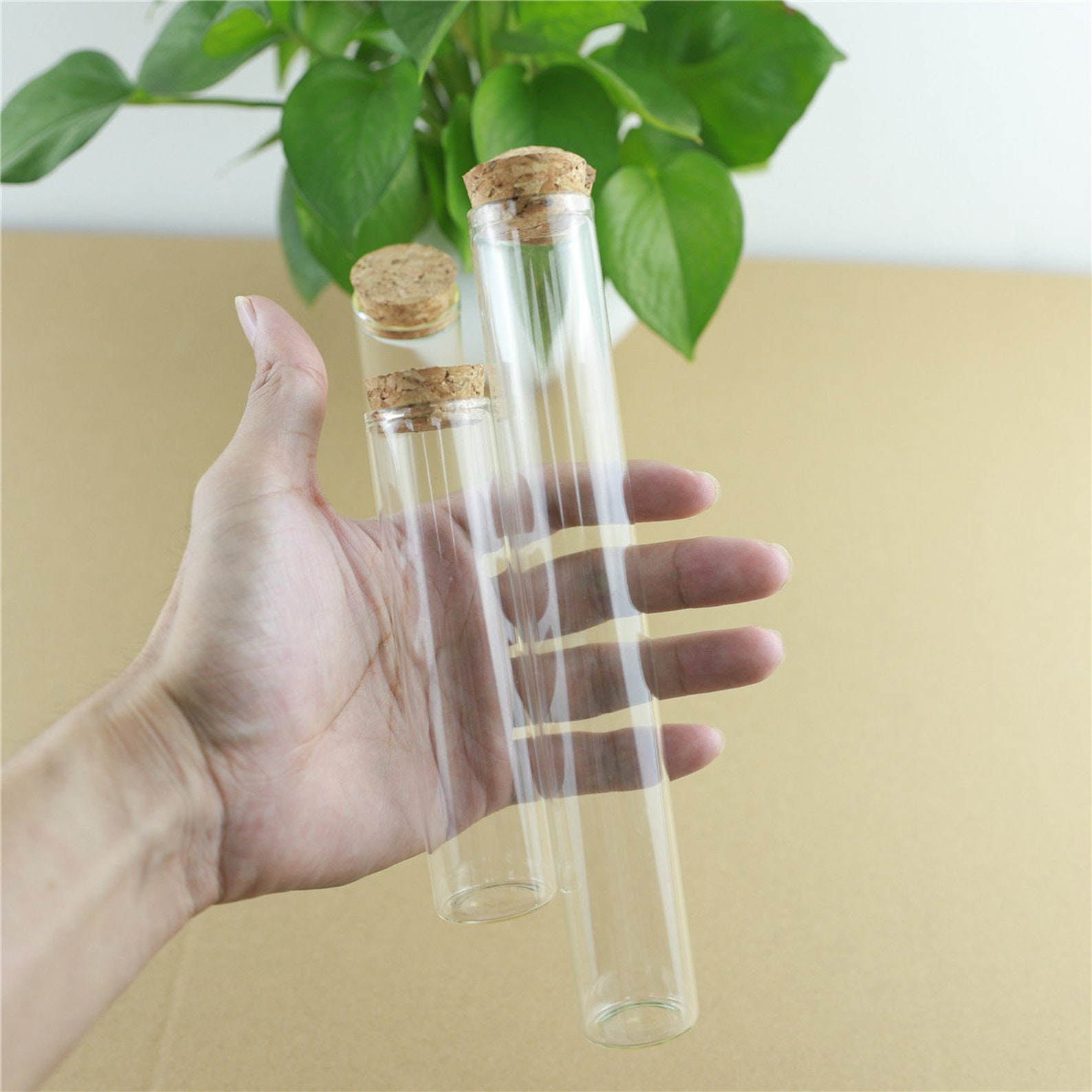 Mini Glass Bottles 10110ml 30mm Diameter 5pcs Storage Glass Bottles