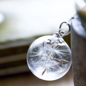 Collier pissenlit / Pissenlit et étoile / Globe en verre / Collier graine de pissenlit / Bijoux botaniques / Bijoux nature / Souhait pissenlit