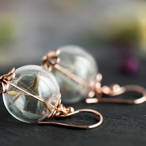 Brincos de dente-de-leão em ouro rosa: globo de desejos de dente-de-leão verdadeiro | Joias da natureza para ela | Brincos românticos em tons de terra | Presente para ela imagem 1
