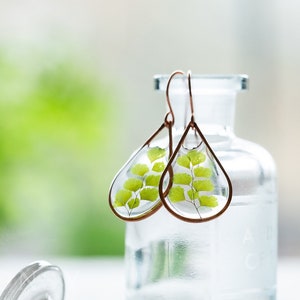 Maidenhair Fern Clear Resin Copper Teardrop Earrings / Faerie Earrings / Botanical Jewellery / Boho Earrings / 100% Copper / Gifts for Her image 1