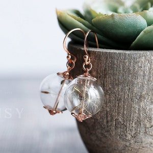 Pode incluir: Brincos de argola de ouro rosa com esferas de vidro transparentes que cont&ecirc;m sementes de dente-de-le&atilde;o secas.