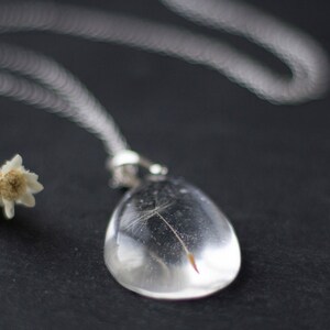 Dandelion Necklace with Single Wish and Glitter / Silver Grey / Real Dandelion / Dandelion Necklace / Botanical Jewellery / Nature Pendant image 3