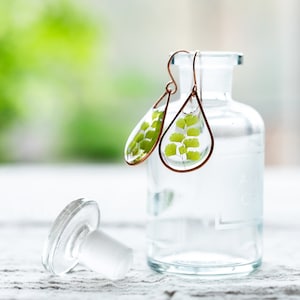 Maidenhair Fern Clear Resin Copper Teardrop Earrings / Faerie Earrings / Botanical Jewellery / Boho Earrings / 100% Copper / Gifts for Her image 4