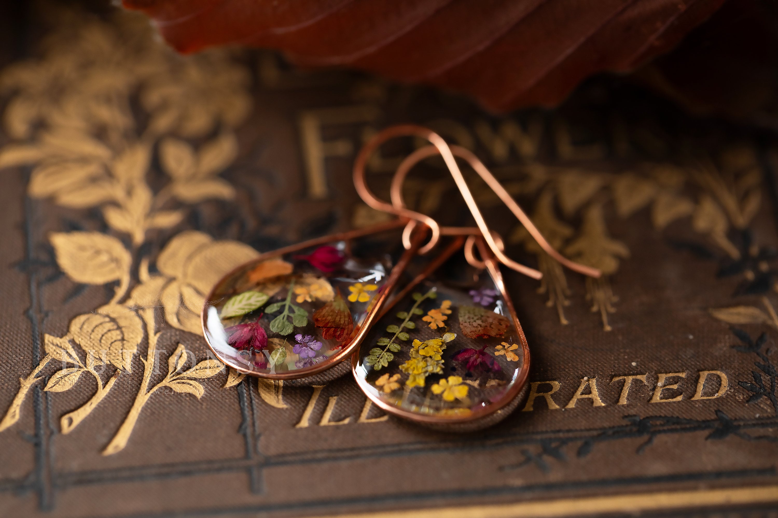 anschauen!, image size:3000x2000