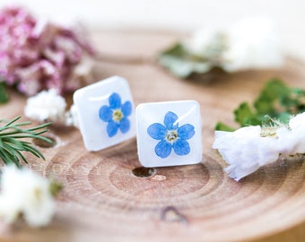 Real Forget-Me-Not Square Pressed Flower Earring Studs