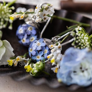 Oubliez-moi pas boucles doreilles / Boucles doreilles Dangle / Something Blue / Boucles doreilles à fleurs réelles / Boucles doreilles en argent / Boucles doreilles en résine / Bijoux de mariage image 4