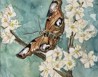 Moth