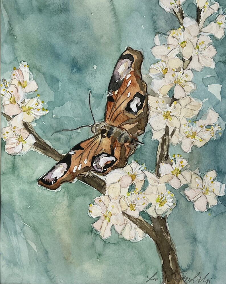 May include: A watercolor painting of a butterfly with brown, black, and white wings perched on a branch of white blossoms. The background is a soft teal color.