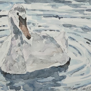 Swan Fine
