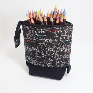 Standing slide down pencil pouch, funny kittens, fabric pencil bucket