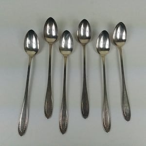 6 Oneida Community Par Plate Silverplate Bridal Wreath Iced Tea Spoons