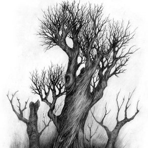 Print: The Dark Forest