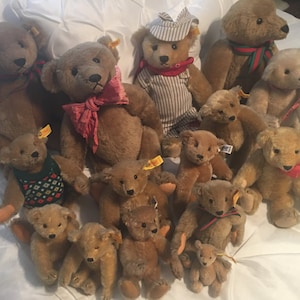 FOURTEEN (14) Antique Steiff Teddy Bears, Varied Sizes and Original Tags ~ A LOT 14!!