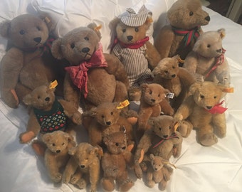 Antique Steiff Teddy Bears, Varied Sizes and Original Tags ~ PRICED FOR COLLECTION