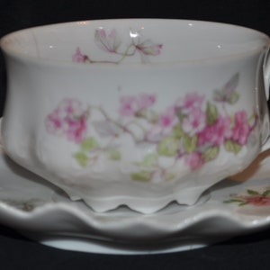 Antique Rare MZ Moritz Zdekauer Austria Teacup and Saucer Wild Pink Roses c.1880-1909 Used Condition