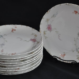 Antiguo Rosenthal Juego de 10 platos rc Versalles Baviera Pintado a mano Floral y dorado c. 1891-1906 USADO