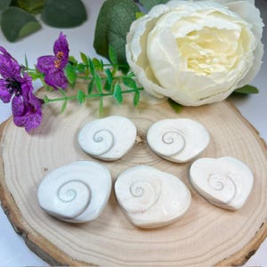 May include: Five white, spiral-shaped decorative stones arranged on a wooden slice. The stones are smooth and have a light beige spiral design. Purple flowers and a white peony are in the background.