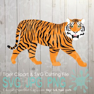 Tiger SVG File, Tiger SVG Cut File, Tiger Cut File, Tiger Clipart, SVG Tiger, Jungle Svg, Jungle Animals Svg, Jungle Animals Clipart
