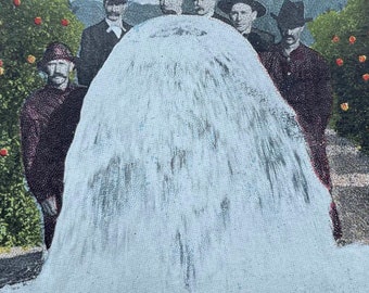 Big Artesian Well Near San Bernardino, California, Vintage Postcard