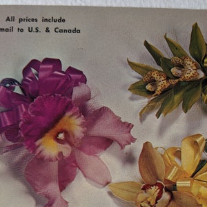 Orchid Corsages par Rainbow Flowers of Honolulu Hawaii, carte postale vintage