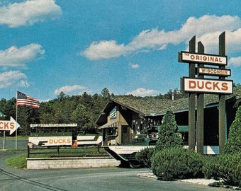The Original Wisconsin Ducks, Duck Dock, Wisconsin Dells, WI, Vintage Postcard