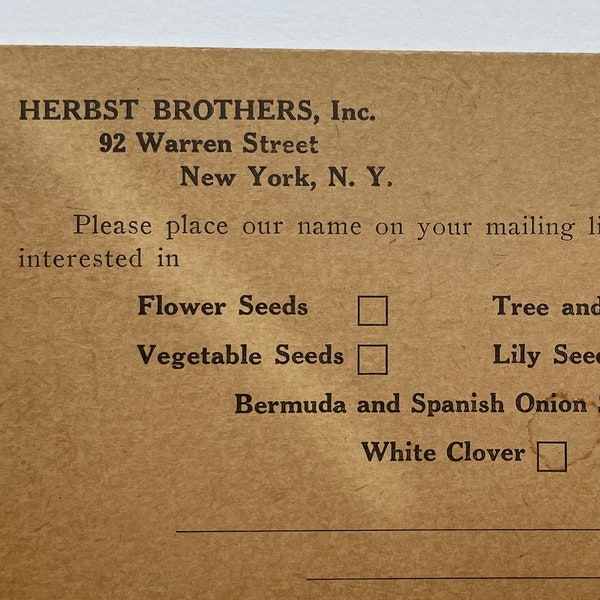 Seed Paper Postcard Etsy