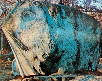 Carte postale ancienne de Frog Rock sur la route 44, Connecticut