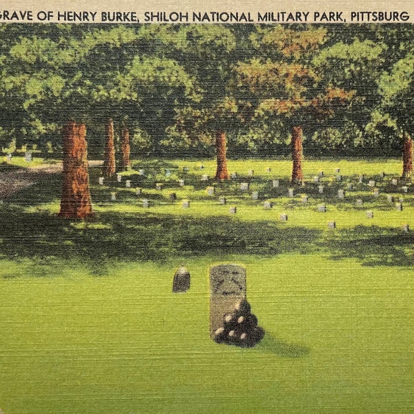 Grave of Henry Burke, Shiloh National Park, Pittsburg Landing, Tennessee, Vintage Linen Postcard