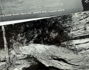 Pair of Wisconsin Dells, Giant Turtle of the Lower Dells, Hawk's Bill, Features on the Wisconsin River, Vintage Photo Postcards