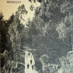 Path to North Gate, University of California, Berkeley, Vintage Postcard