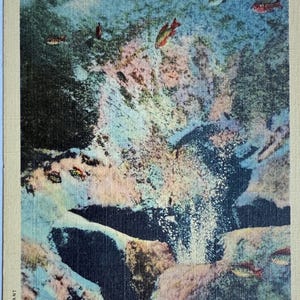 Carte postale La chambre nuptiale à travers un bateau à fond de verre à Nature's Underwater Fairyland à Silver Springs, Floride, carte postale en lin vintage