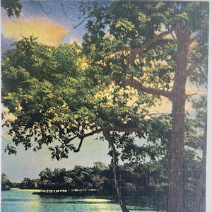 Carte postale au clair de lune sur une eau scintillante