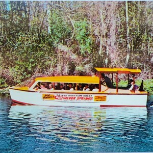 Carte postale Le bateau à fond de verre de Joe Borden sur la rivière SilverSprings à Silver Springs, Floride, carte postale vintage