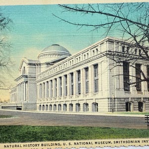 Carte postale en lin vintage Bâtiment d'histoire naturelle, Musée national des États-Unis, Smithsonian Institution, Washington DC