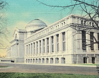Natural History Building, US National Museum, Smithsonian Institution, Washington DC, Vintage Linen Postcard