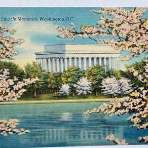 Carte postale vintage Lincoln Memorial et fleurs de cerisier du Japon à Washington DC