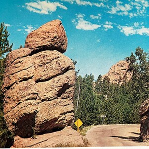 Traffic Cop on Needles Drive, Custer State Park, Black Hills, Dakota du Sud, carte postale vintage