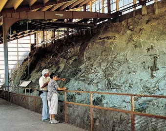 À l’intérieur de la carrière de dinosaures, monument national des dinosaures, carte postale vintage