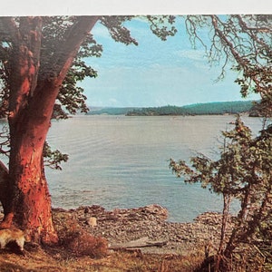 Le paradis des plaisanciers sur les îles San Juan, Washington, carte postale vintage